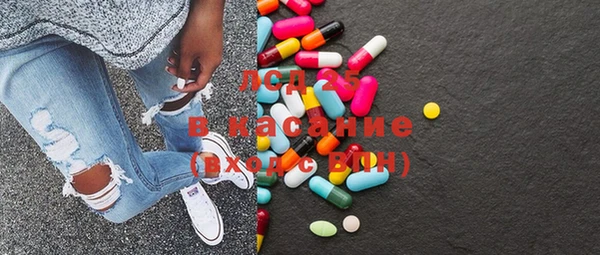 PSILOCYBIN Алзамай